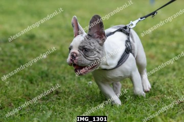 IMG_1301.jpg
