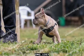 IMG_1357.jpg