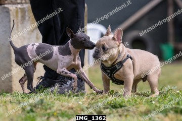 IMG_1362.jpg