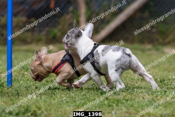 IMG_1398.jpg