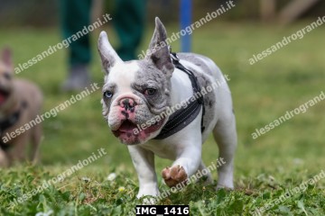 IMG_1416.jpg