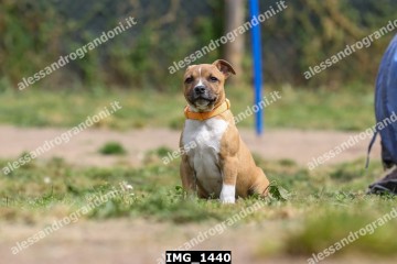 IMG_1440.jpg