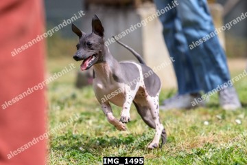 IMG_1495.jpg