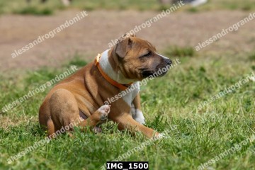 IMG_1500.jpg