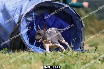 IMG_1543.jpg