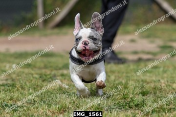 IMG_1561.jpg