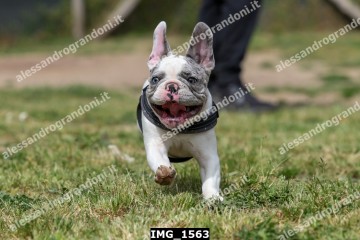 IMG_1563.jpg