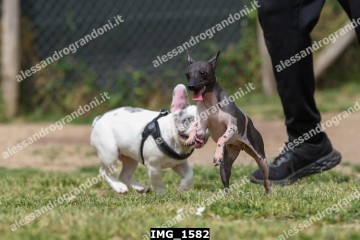 IMG_1582.jpg