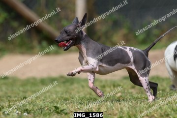 IMG_1586.jpg