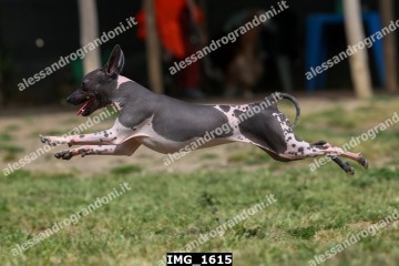 IMG_1615.jpg