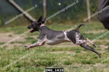 IMG_1625.jpg