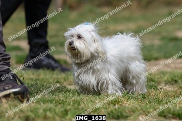 IMG_1638.jpg