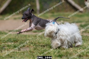 IMG_1644.jpg