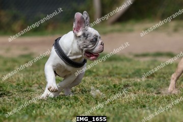 IMG_1655.jpg