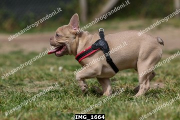 IMG_1664.jpg