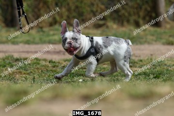 IMG_1678.jpg