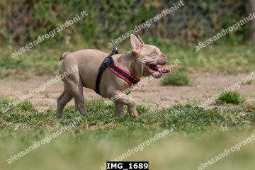 IMG_1689.jpg