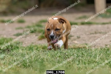 IMG_1708.jpg