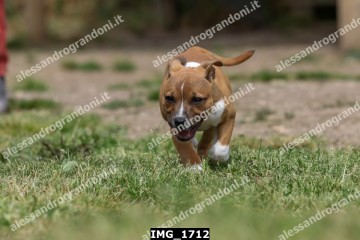 IMG_1712.jpg