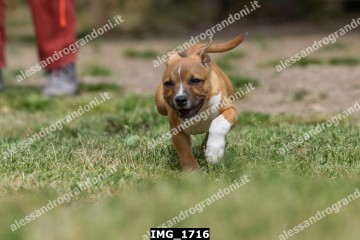 IMG_1716.jpg