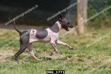 IMG_1771.jpg