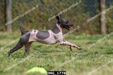 IMG_1778.jpg