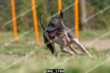 IMG_1786.jpg