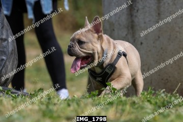 IMG_1798.jpg