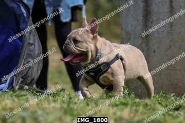 IMG_1800.jpg