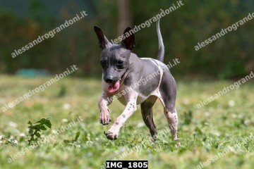 IMG_1805.jpg
