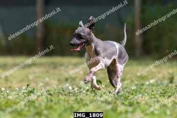 IMG_1809.jpg