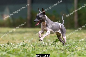 IMG_1811.jpg