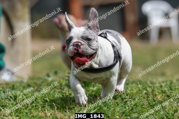 IMG_1843.jpg