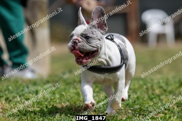IMG_1847.jpg