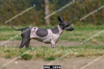 IMG_1856.jpg