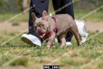 IMG_1862.jpg