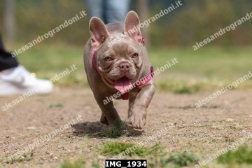 IMG_1934.jpg
