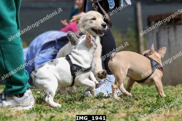 IMG_1941.jpg