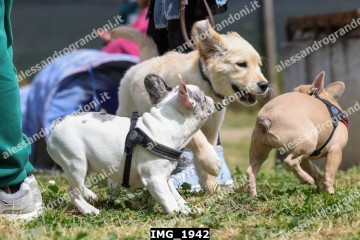 IMG_1942.jpg