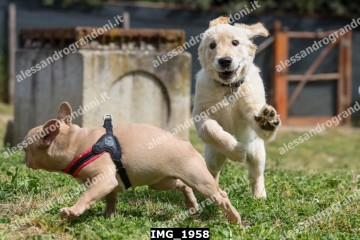 IMG_1958.jpg
