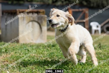 IMG_1962.jpg