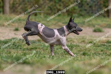IMG_1999.jpg