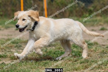 IMG_2051.jpg