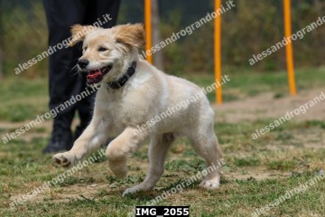 IMG_2055.jpg