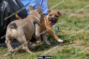 IMG_2064.jpg