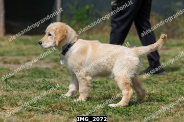 IMG_2072.jpg