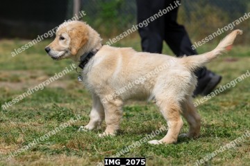 IMG_2075.jpg