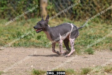 IMG_2098.jpg