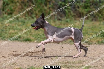 IMG_2103.jpg