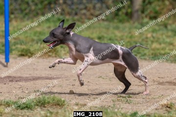 IMG_2108.jpg